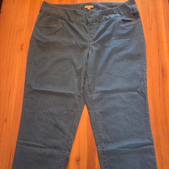 Women Within Relaxed Denim Jeggings Stretchy = Size 26W - Picture 1 of 6